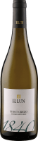 Pinot Grigio DOC - H. Lun