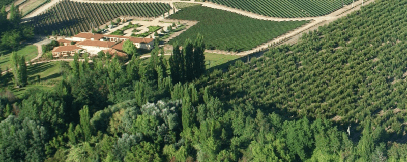 Sutil Family Wines Weingut