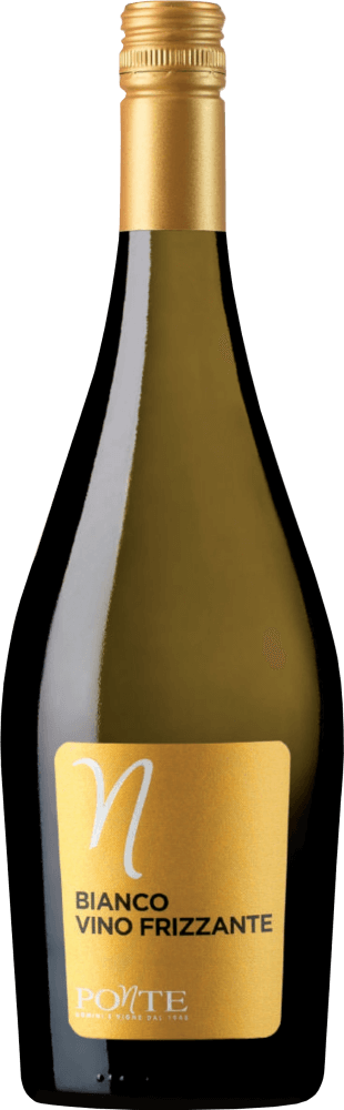 Vorschau: 12er Vorteils-Weinpaket - Bianco Frizzante - Ponte