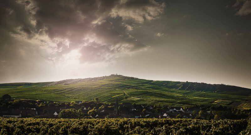 Bechtolsheimer Petersberg