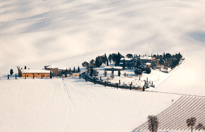 Weingut-im-Winter