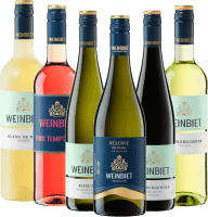 6er Probierpaket - Weine aus der Pfalz von Weinbiet Manufaktur