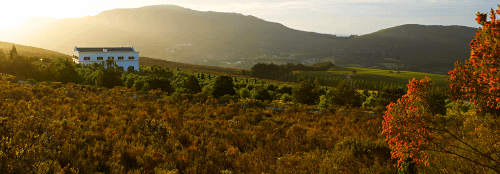 Hamilton Russell Vineyards a Walker-öbölben Hamilton Russell Vineyards a Walker-öbölben