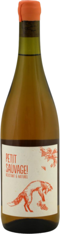 Petit Sauvage Orange - Pierre et Antonin