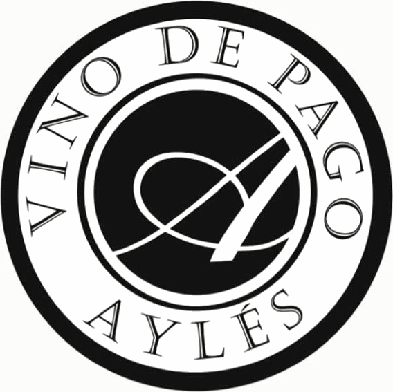 Bodega Pago Aylés