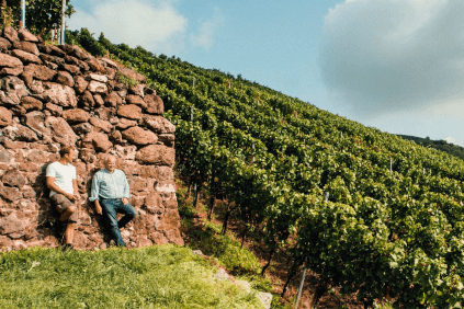 Im Weinberg von Franz Keller