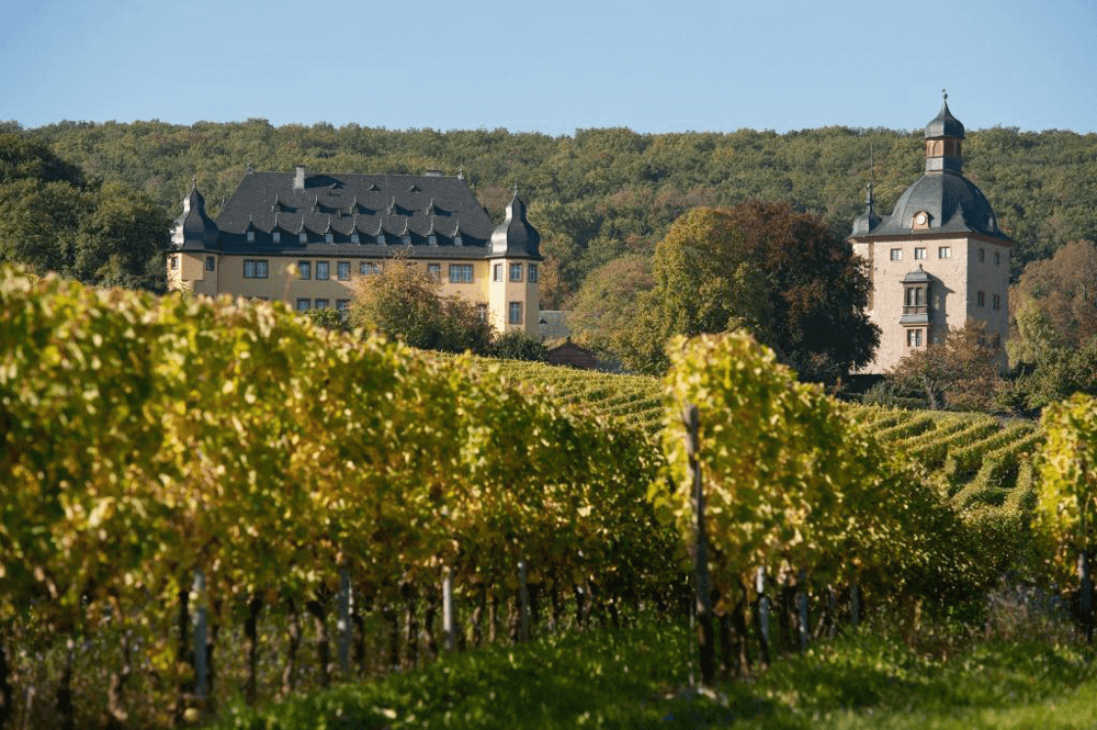 Schloss Vollrads Weinberge Schloss Vollrads Weinberge