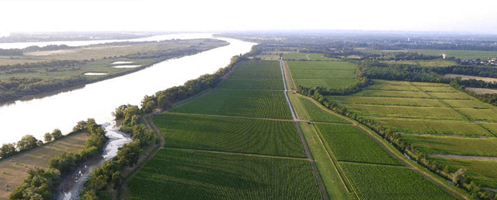 Cru la Maaqueline