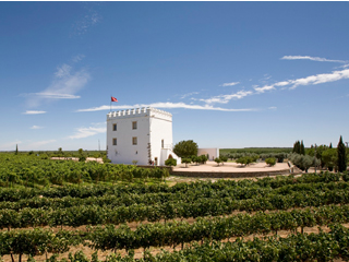Portugals Weingut Esporão Esporao - Weinanbau