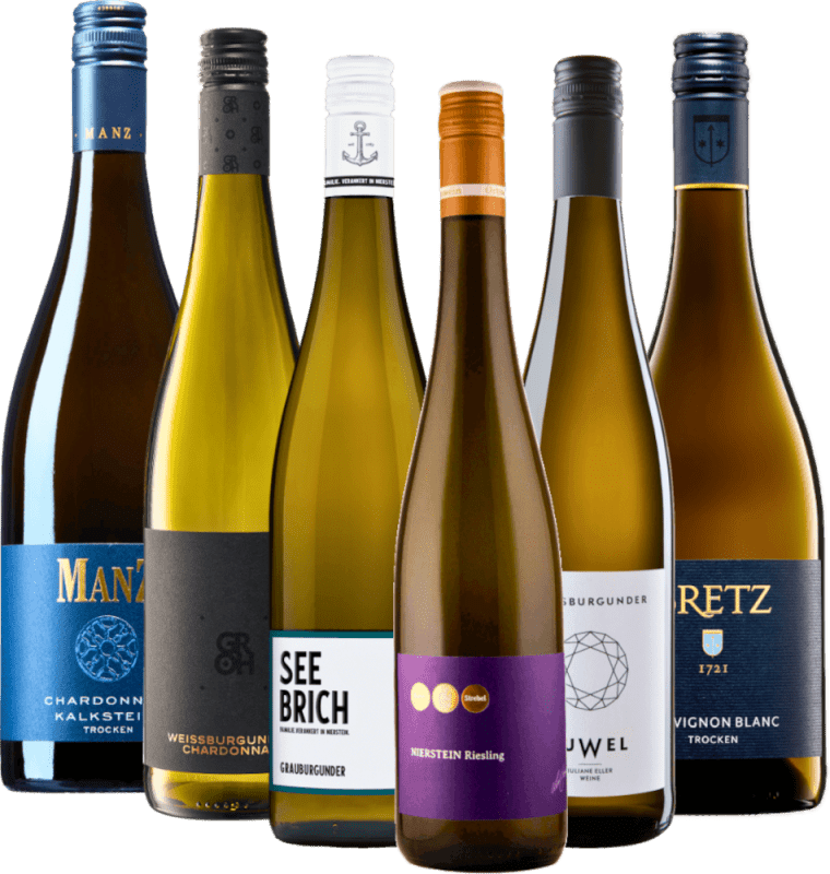 A legjobb Rheinhessen a VINELLO-tól – 6 darab mintacsomag