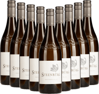 9x Vorteils-Weinpaket Sauvignon Blanc - Steenberg