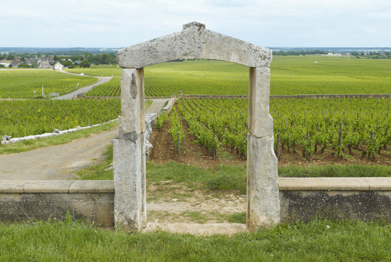 Ein typischer Rebgarten mit Steintor und -mauer im Burgund Ein typischer Rebgarten mit Steintor und -mauer im Burgund