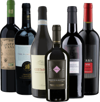Vorschau: A legjobb Primitivo bajnokok a VINELLO-tól – 12× kóstolócsomag