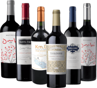 Vorschau: 6x Entdeckerpaket - Reserva Rotweine aus Südamerika