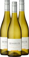 3er Vorteils-Weinpaket - Horgelus Blanc - Domaine Horgelus