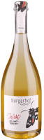 InSekt - Burgerhof Meßner
