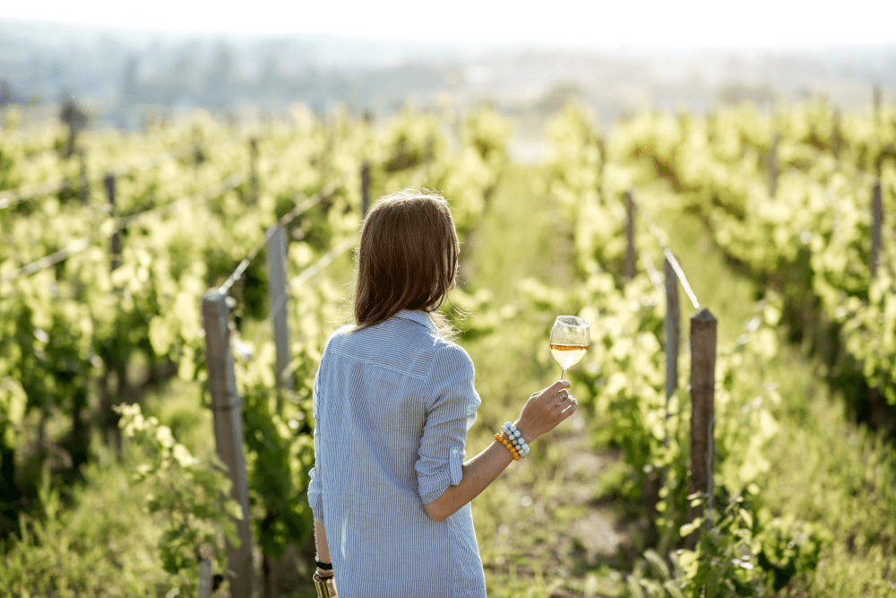 Frau am Weinberg in Saint Emilion