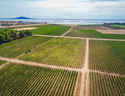 Domaine de Belle Mare terroir