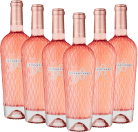 Vorschau: Sessantanni Primitivo Rosé Salento IGP - Cantine San Marzano - 6x előnyös csomag