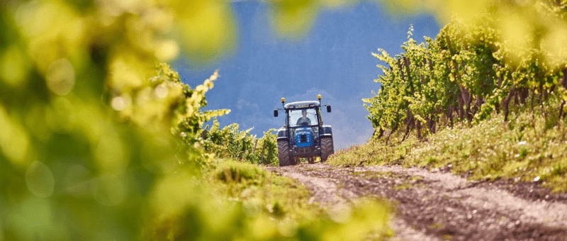Traktor im Karthaeuserhofweinberg Traktor im Karthaeuserhofweinberg
