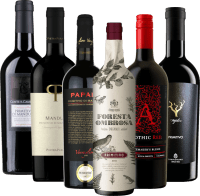 Primitivo Bestseller Rejtett Bajnokok 6x Kóstolócsomag a VINELLO-tól