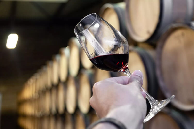 weingut-casal_dos_jordoes-weinberg-1