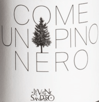 Vorschau: Come Un Pino Nero - Le Vigne Di San Pietro