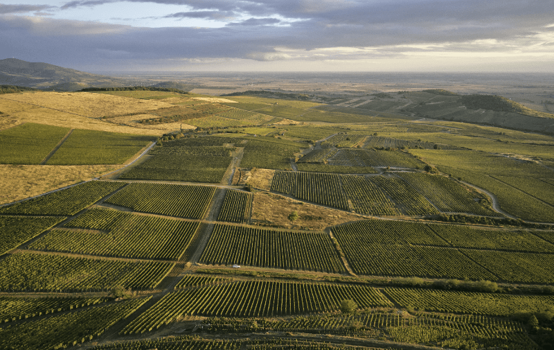 Tokaj Hegyalja szőlőültetvények madártávlatból Tokaj Hegyalja szőlőültetvények madártávlatból
