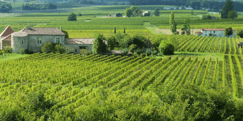 Les Vignobles Terroir Les Vignobles Terroir
