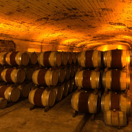 Keller des Chateau Mont-Redon