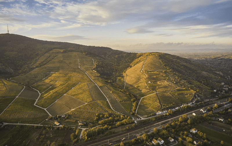 Tokaj madártávlatból 2 Tokaji táj madártávlatból