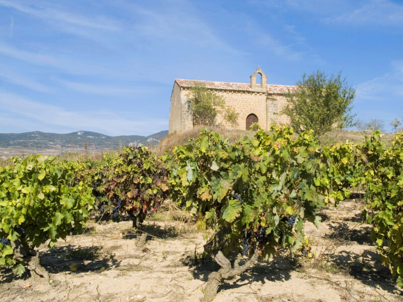 Bodegas Taron borászat Bodegas Taron borászat