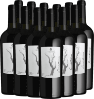 12er Vorteilspaket - Sessantenario Malvasia IGT - Cantina Sampietrana
