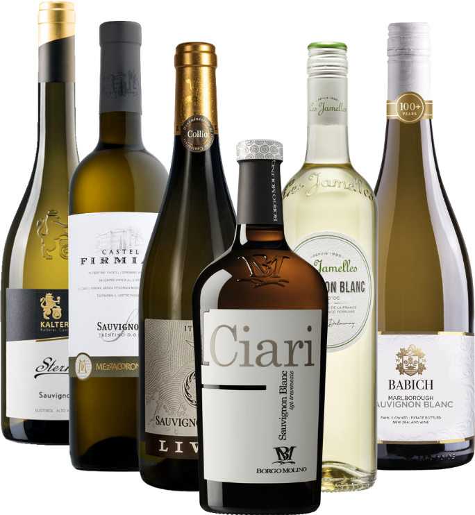A Sauvignon Blanc lenyűgöző világa – 6 palackos fajtacsomag