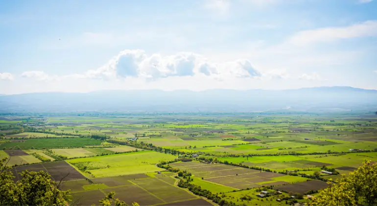 8K Ősi vörös – Teliani Valley Pincészet – 6x előnyös csomag