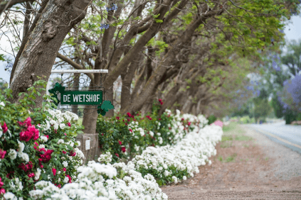 De Wetshof Robertsonban