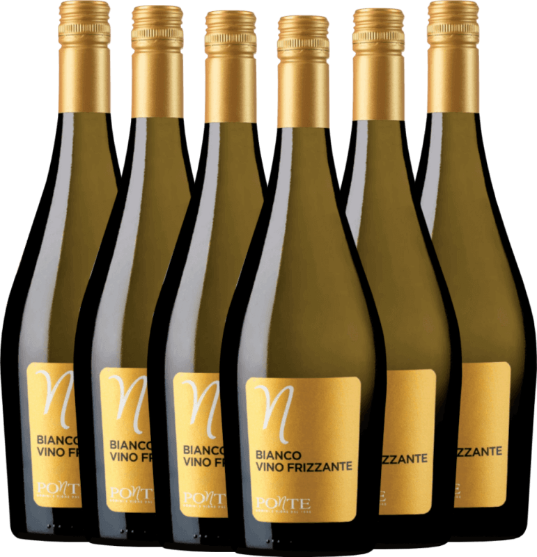 6er Vorteils-Weinpaket - Bianco Frizzante - Ponte