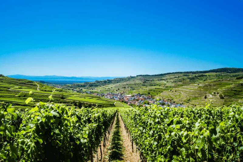 Kaiserstuhl Kaiserstuhl