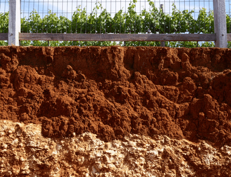 Coonawarra talajai