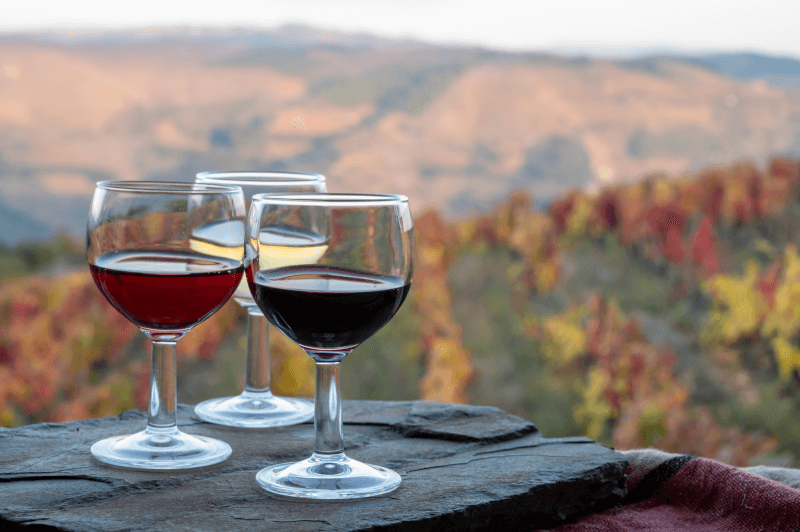 Borkóstolás a Douro-völgyben Borkóstolás-a-Douro-völgyben