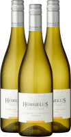 3er Vorteils-Weinpaket - Horgelus Blanc - Domaine Horgelus