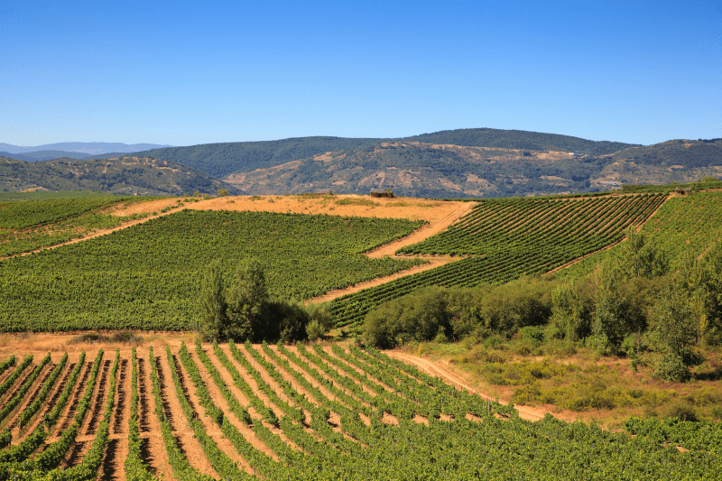 Panorama von Bierzo in der Nähe von Villafranca