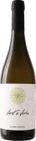 Bianco Vient E Voria - Antica Masseria Venditti