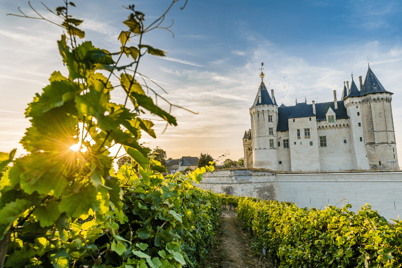 Saumuri Château, a Crémant de Loire központja Saumuri Château, a Crémant de Loire központja