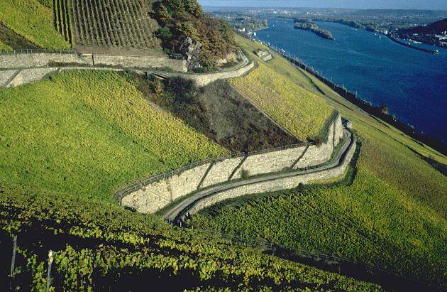 Georg Breuer - Rüdesheimer Schlossberg
