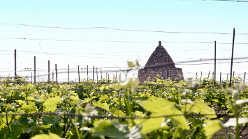 a6mani Weingut A6mani Weingut und Preisliste