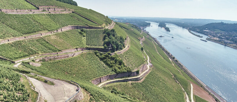 Leitz Pincészet Berg Roseneck Leitz Pincészet Berg Roseneck