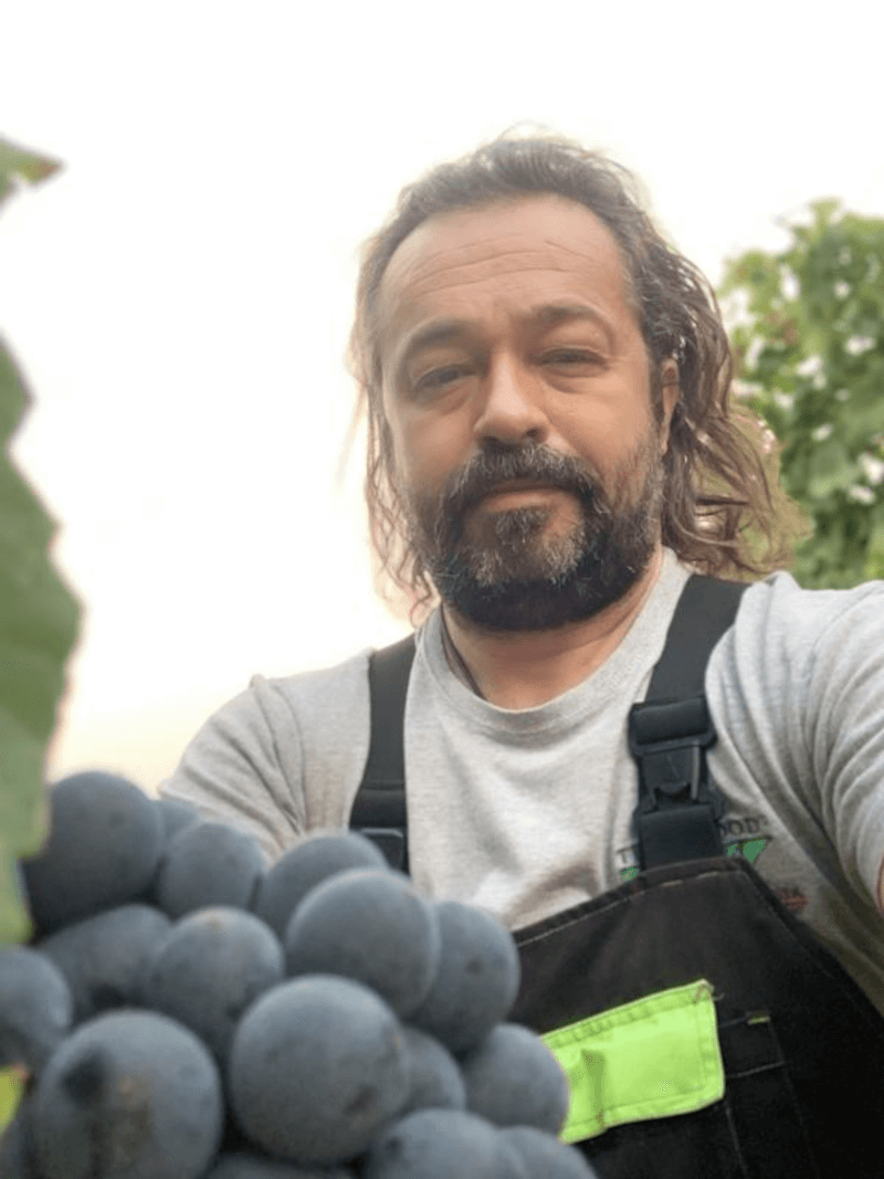 Marchesi di Montalto Borász