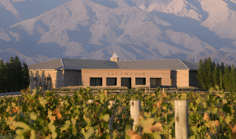 Bodegas Salentein Borászat
