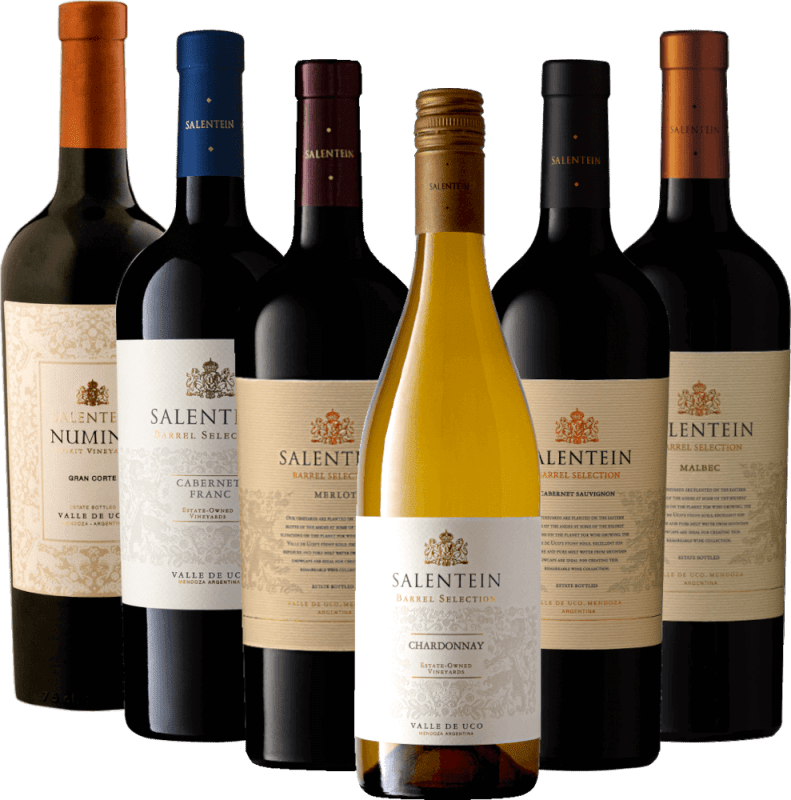 Mendoza lelke a Bodegas Salentein-nal - 6x kóstolócsomag